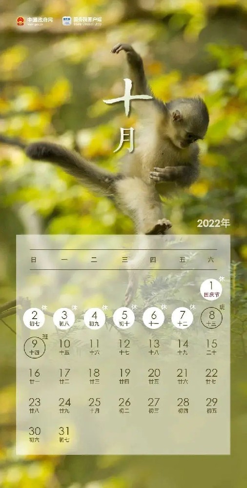 放假通知！明确了！需48小时核酸！