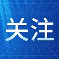 “双减”后，全篇作文变得不会写了，怎么办？