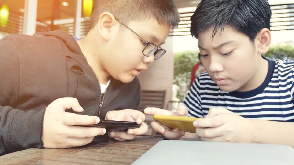 人大代表建议：停止向未成年人提供网游服务