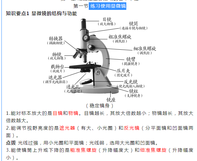 初中生物体的结构层次知识点一：练习使用显微镜