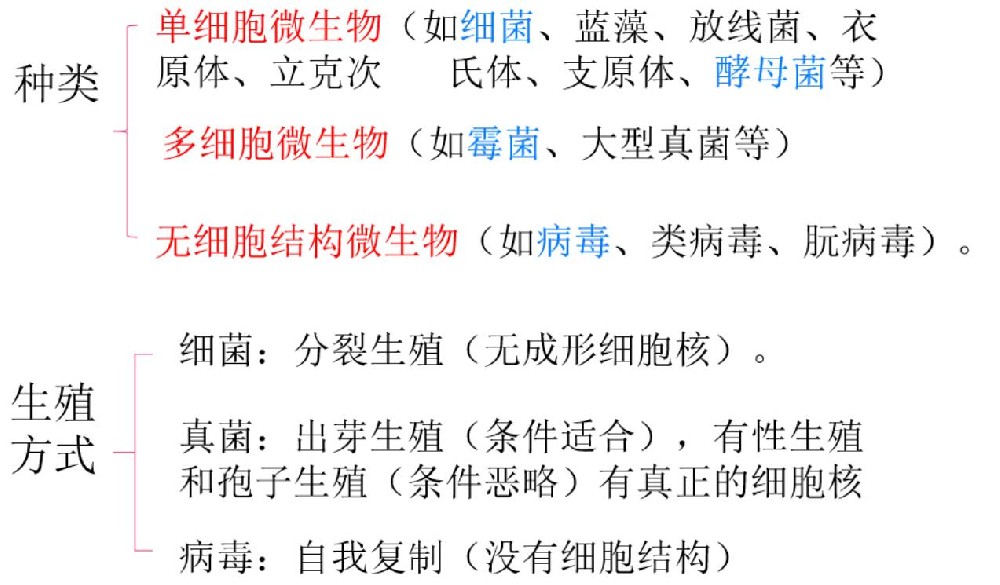 初中生物发酵及其技术应用