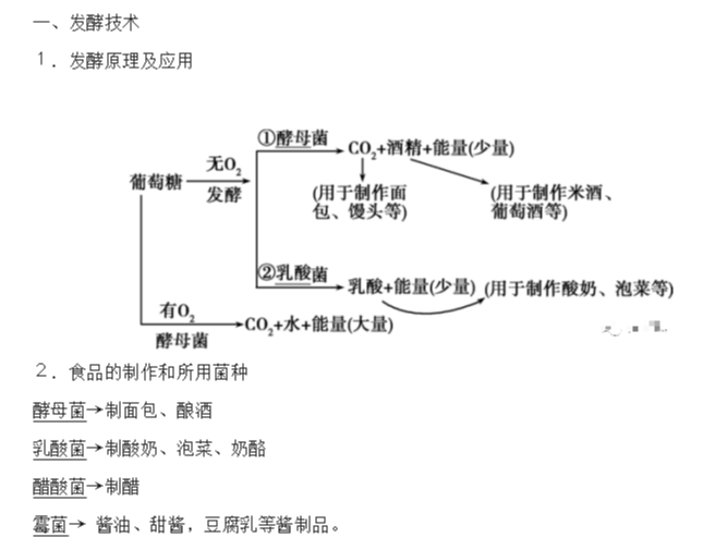 中考专题生物技术：日常生活中的生物技术